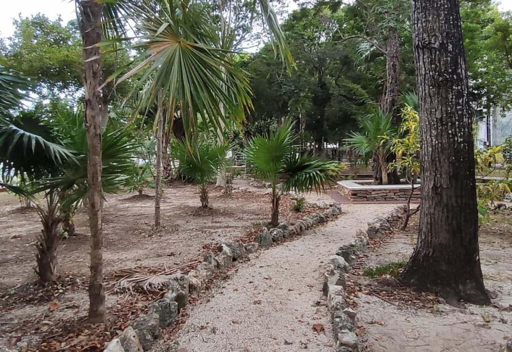 Imagen-Para-Arte-Garden-Avenida-Nader-Por-Rentas y Turismo