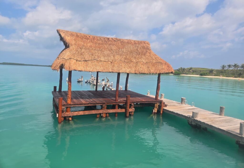 Thumbnail-De-Muelle-Isla-Contoy-Cancun-Por-Rentas y Turismo