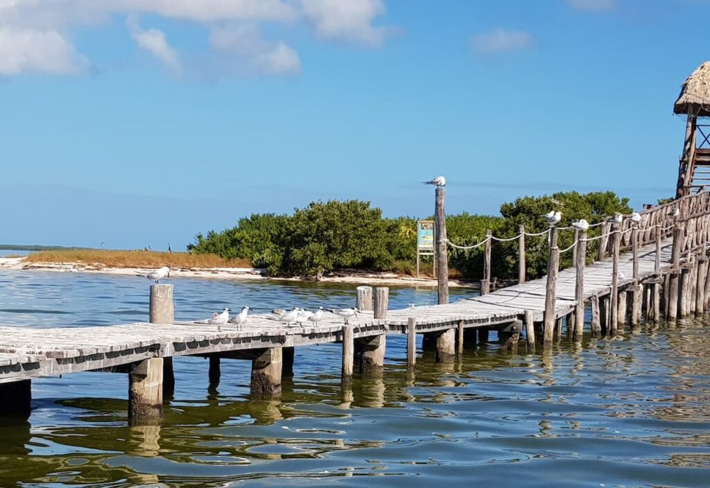 Thumbnail-Para-Vista-Del-Muelle-Isla-Holbox-Por-Rentas y Turismo