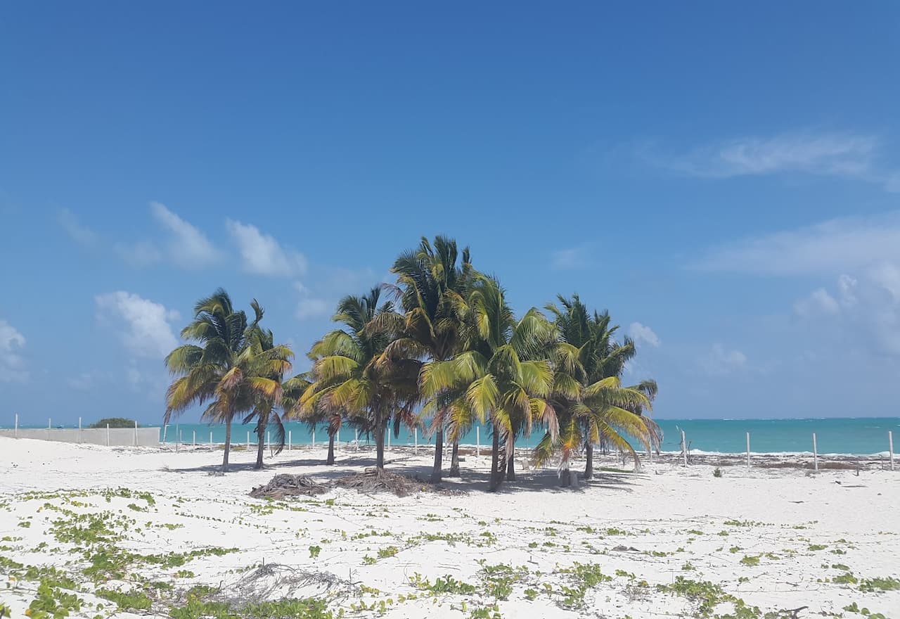 Thumbnail-Para-Isla-Blanca-Peninsula-Por-Rentas y Turismo